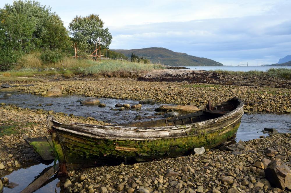 Old boat