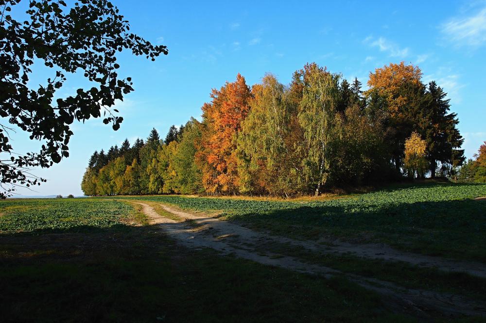 Podzim u Věchnova