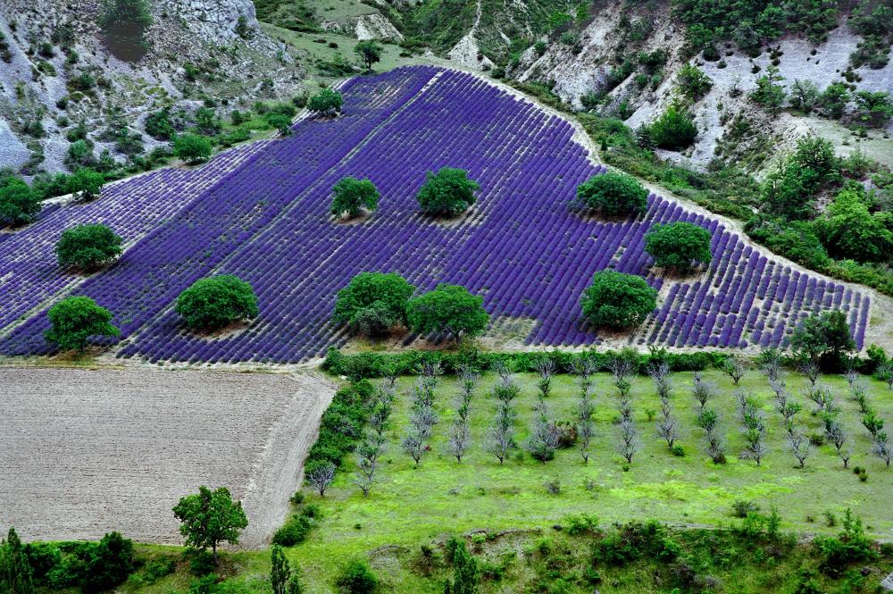 Provence.