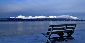 A Bench with a View