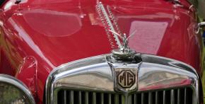 MG.