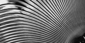 Trilobit...