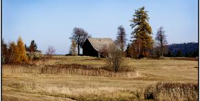 Typická krajina Vysočiny