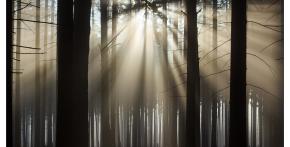Via lucis