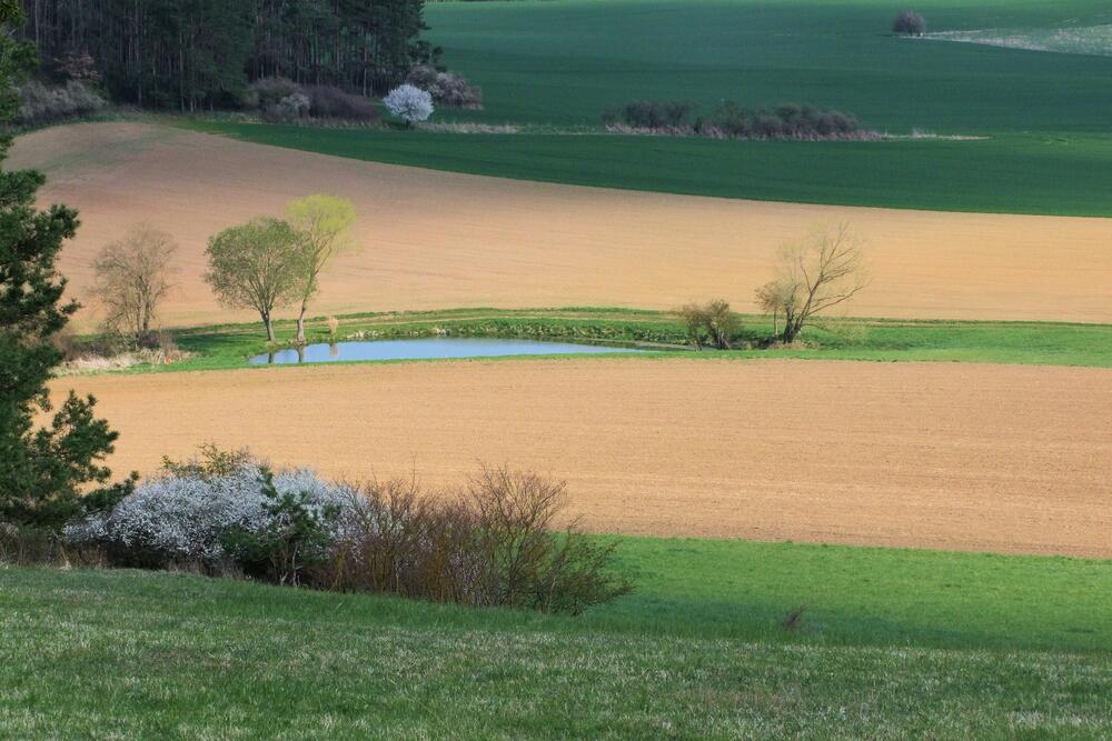 Krajina jarního dne