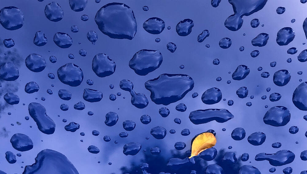Modrý svět