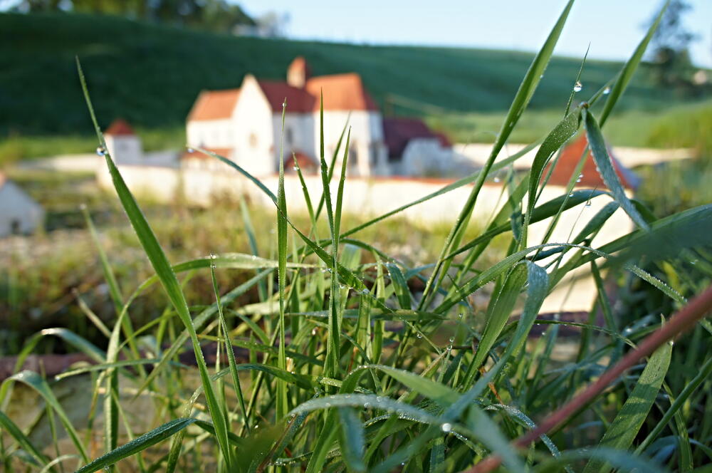 Ranní miniatury I