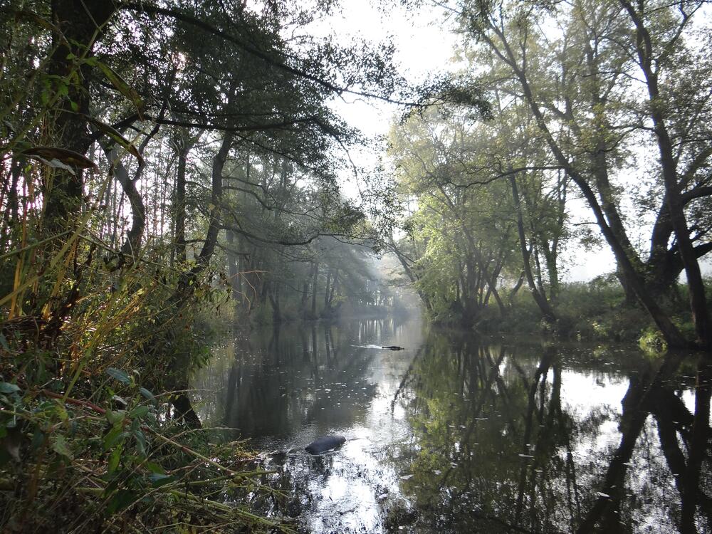 Svratka - konec léta
