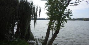Rybník